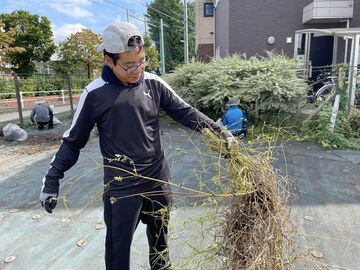 除草作業のご依頼